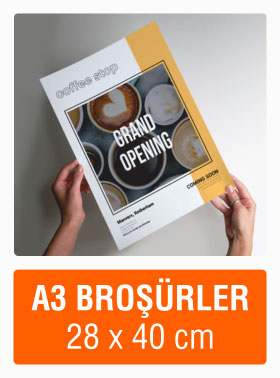 Güncel A3 Broşür Örnekleri.