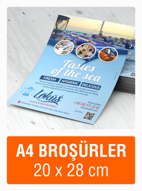 Kurumsal A4 Broşür Tasarımları.
