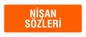 Nişan davetiyesi, nişan davetiye metinleri.
