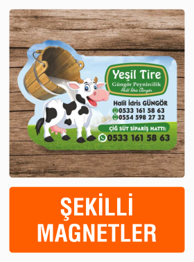 Firmanıza Uyumlu Şekilli Magnet Tasarımları.