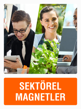 Gıda vb. Birçok Sektörel Magnet Çeşitleri.