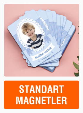 En Çok Kullanılan Standart Magnet Örnekleri.